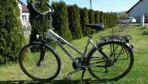 Rower Pegasus Primo alu