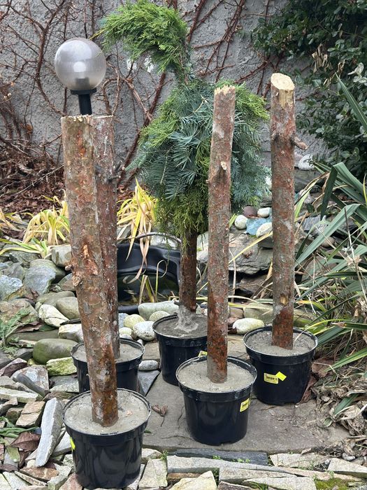 Pień w doniczcce stojak na choinkę