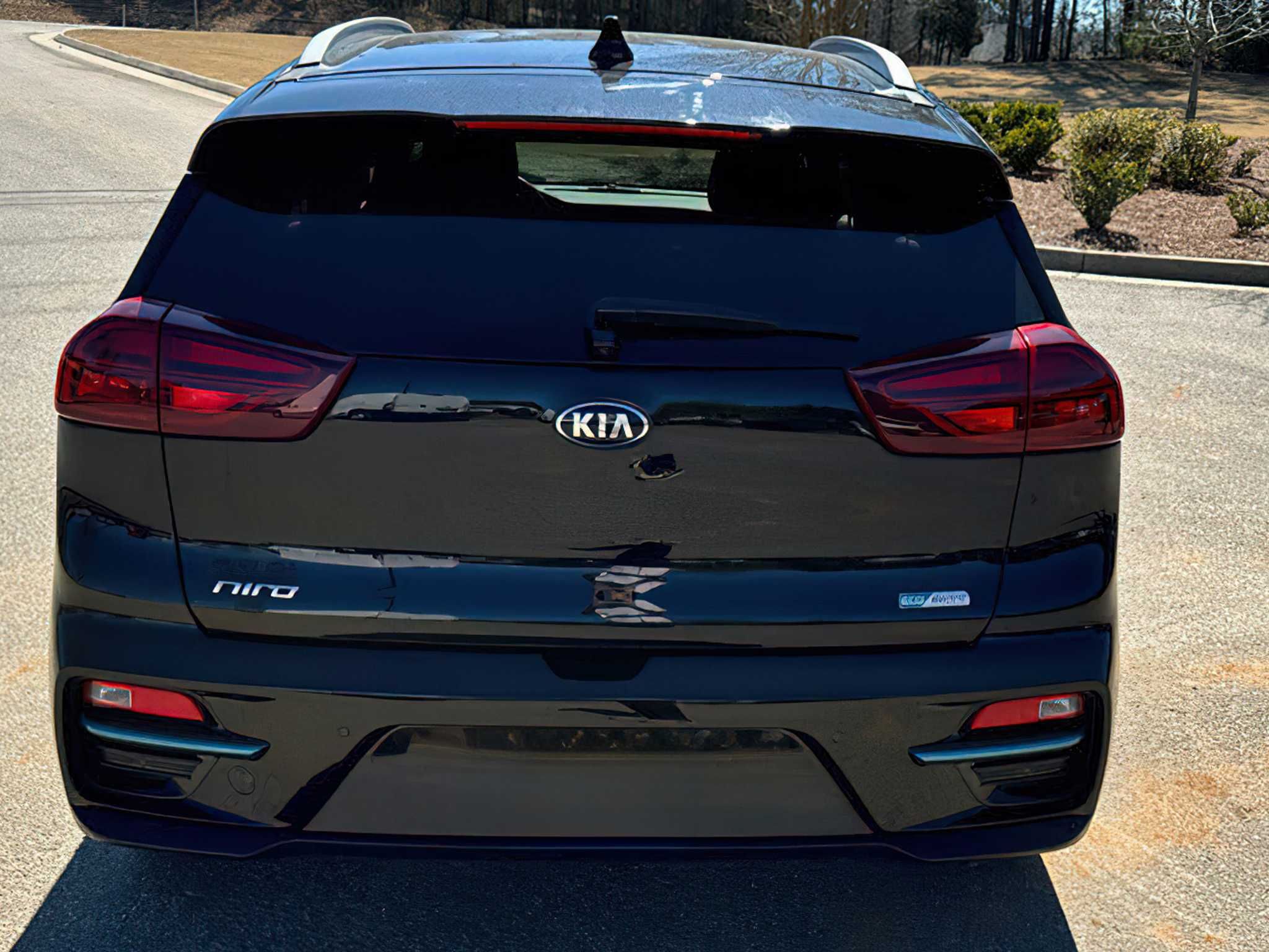 Kia Niro EV EX Premium 2021