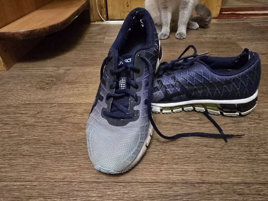 Кросівки Asic shoes