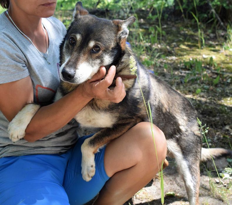 17 letni Pimpek - czy zdąży do domu ?