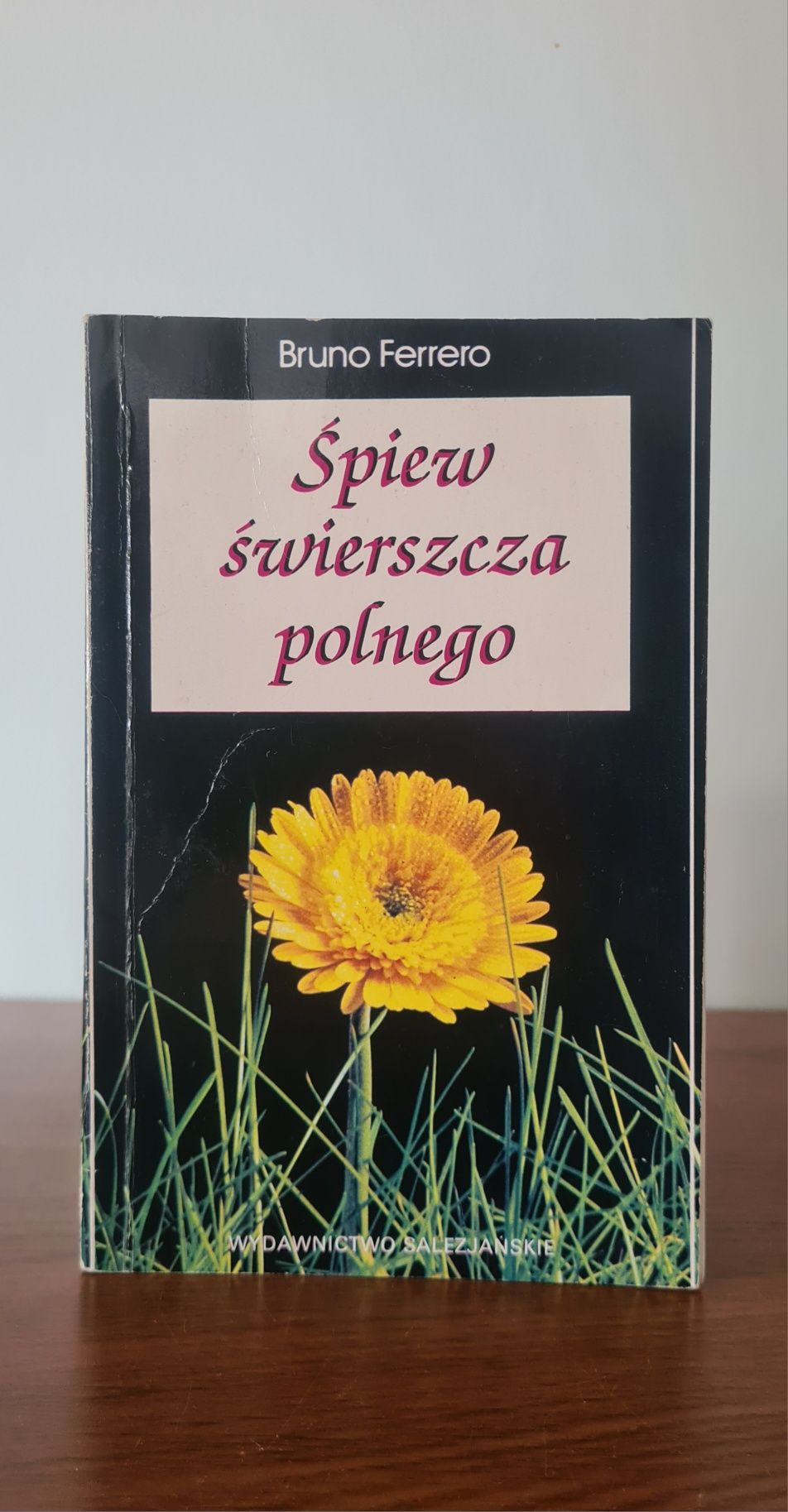 Śpiew świerszcza polnego - Bruno Ferrero