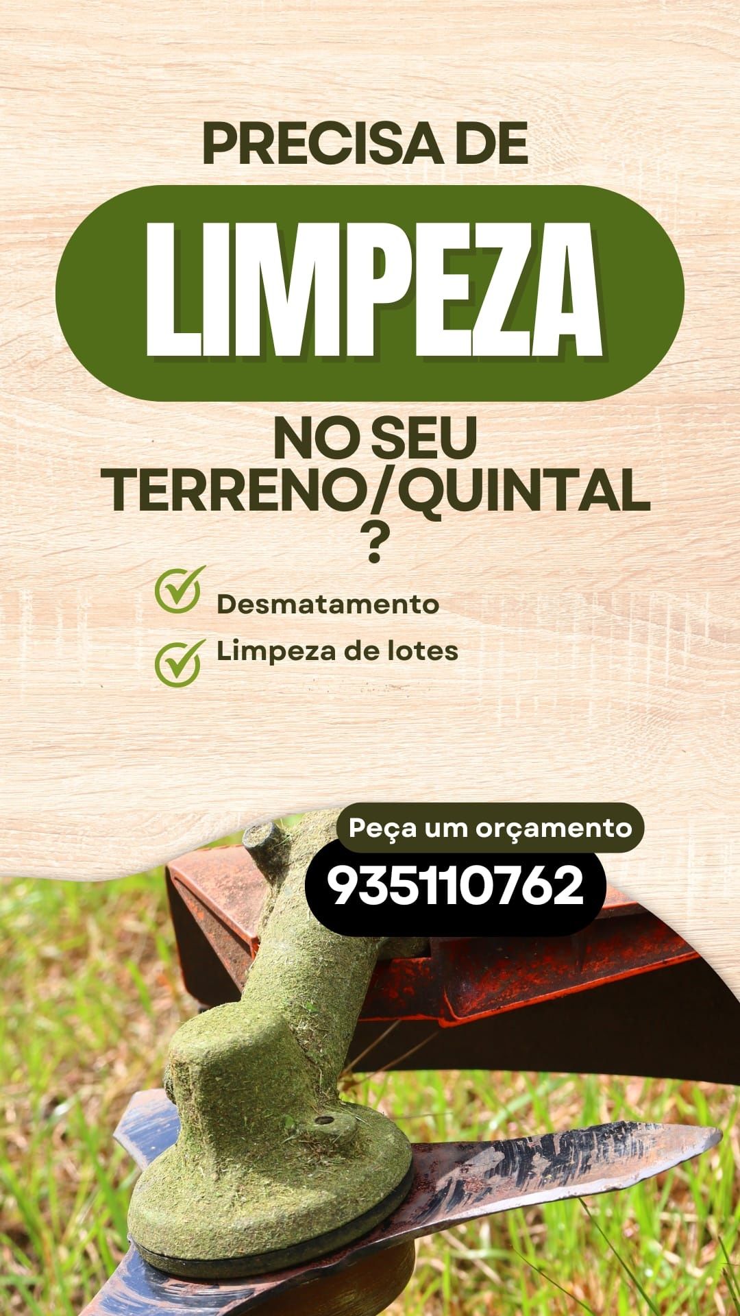 Limpeza de terrenos / Quintais/ Lotes