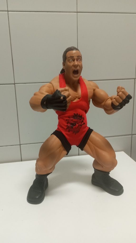 Boneco/Figura de Ação 2005 JAKKS Pacific Vivid WWE ROB VAN DAM (RARO)