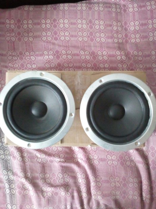 НЧ динамики Пионер