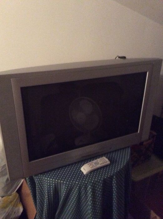 Televisão