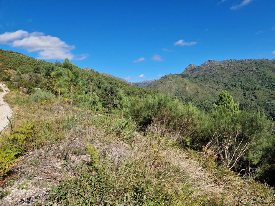 Terreno / Gerês / Rio Caldo