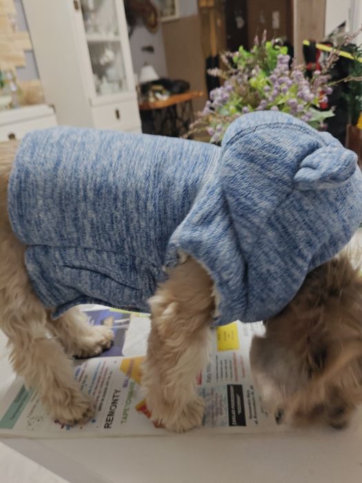 Bezrękawnik dla psa