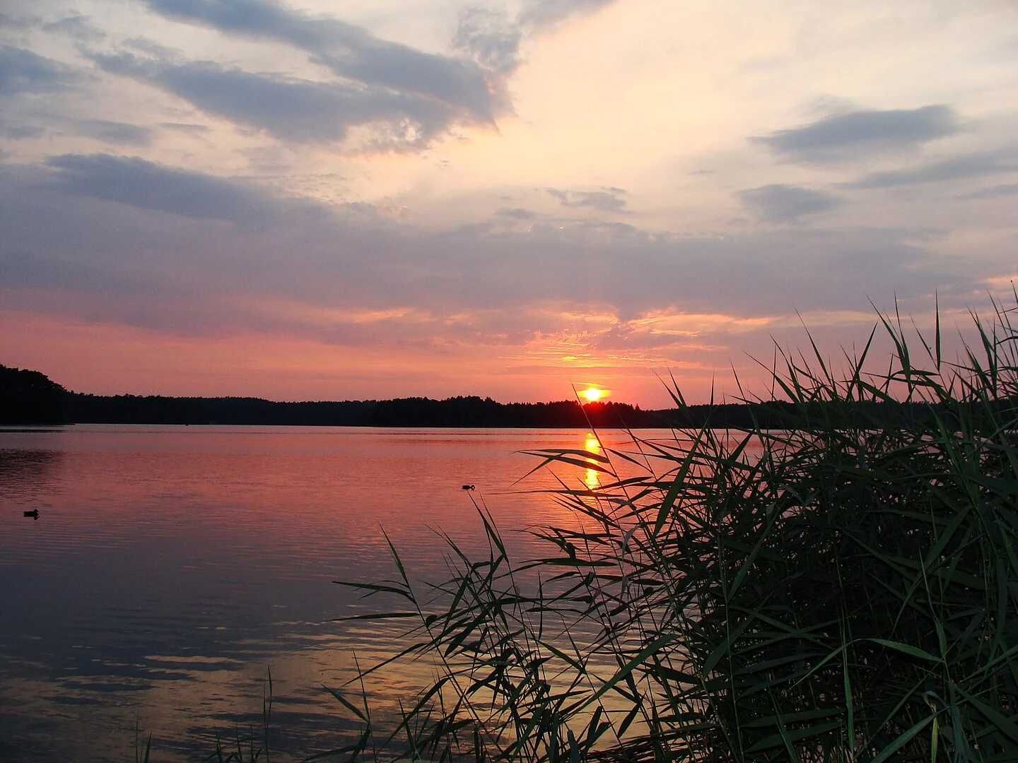 tanie POKOJE z łazięnkami AGROTURYSTYKA Noclegi Hotel lasy jeziora