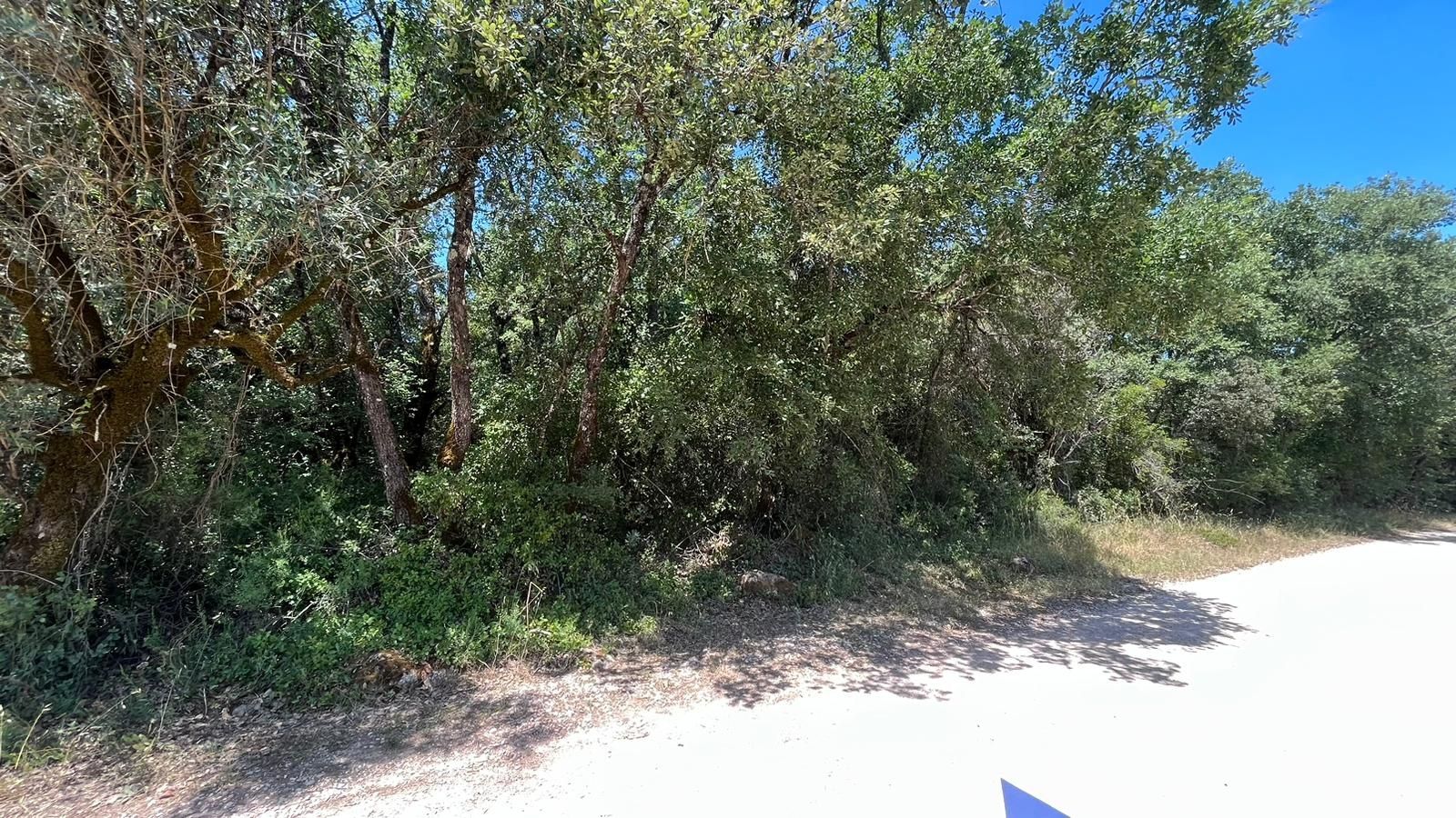 Terreno em Ferreira do Zêzere