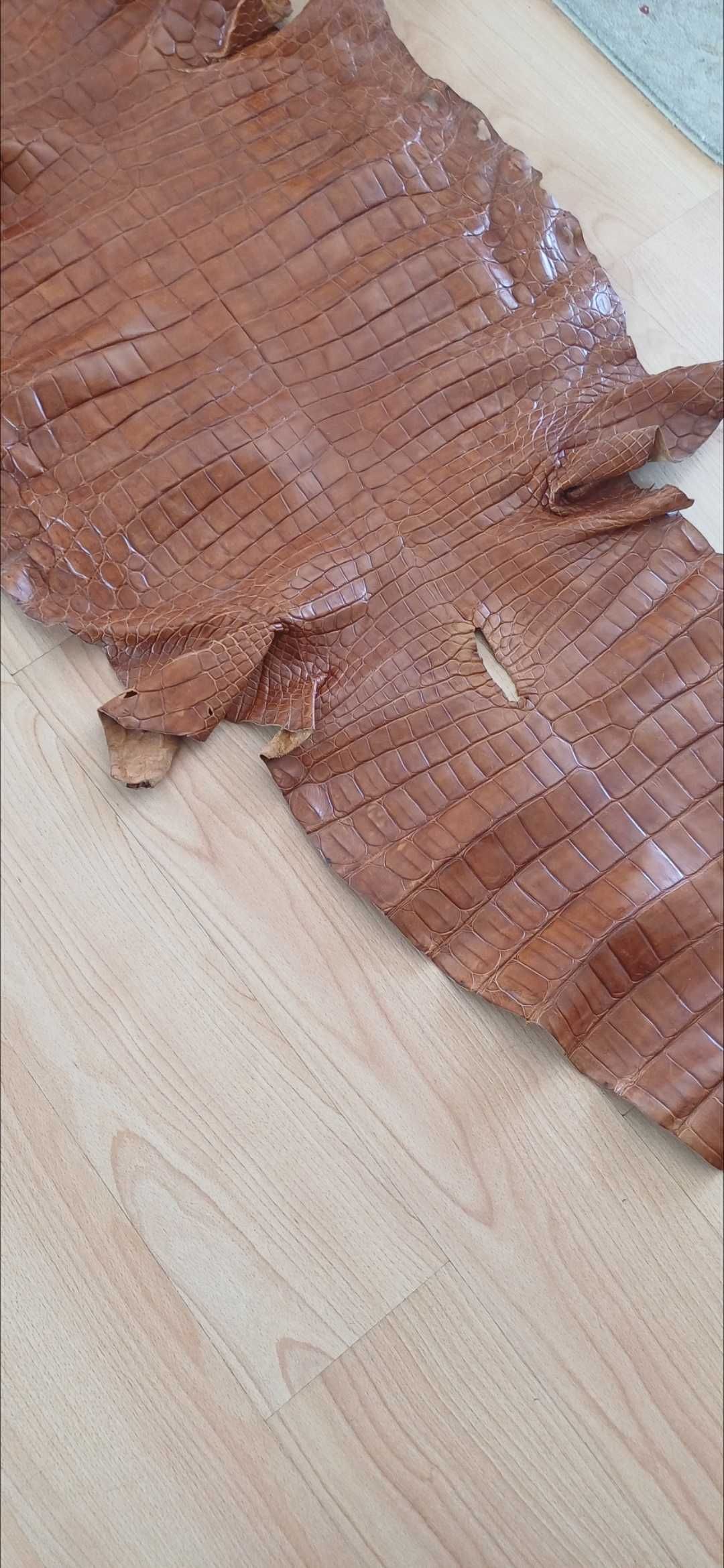 Pele de crocodilo genuína