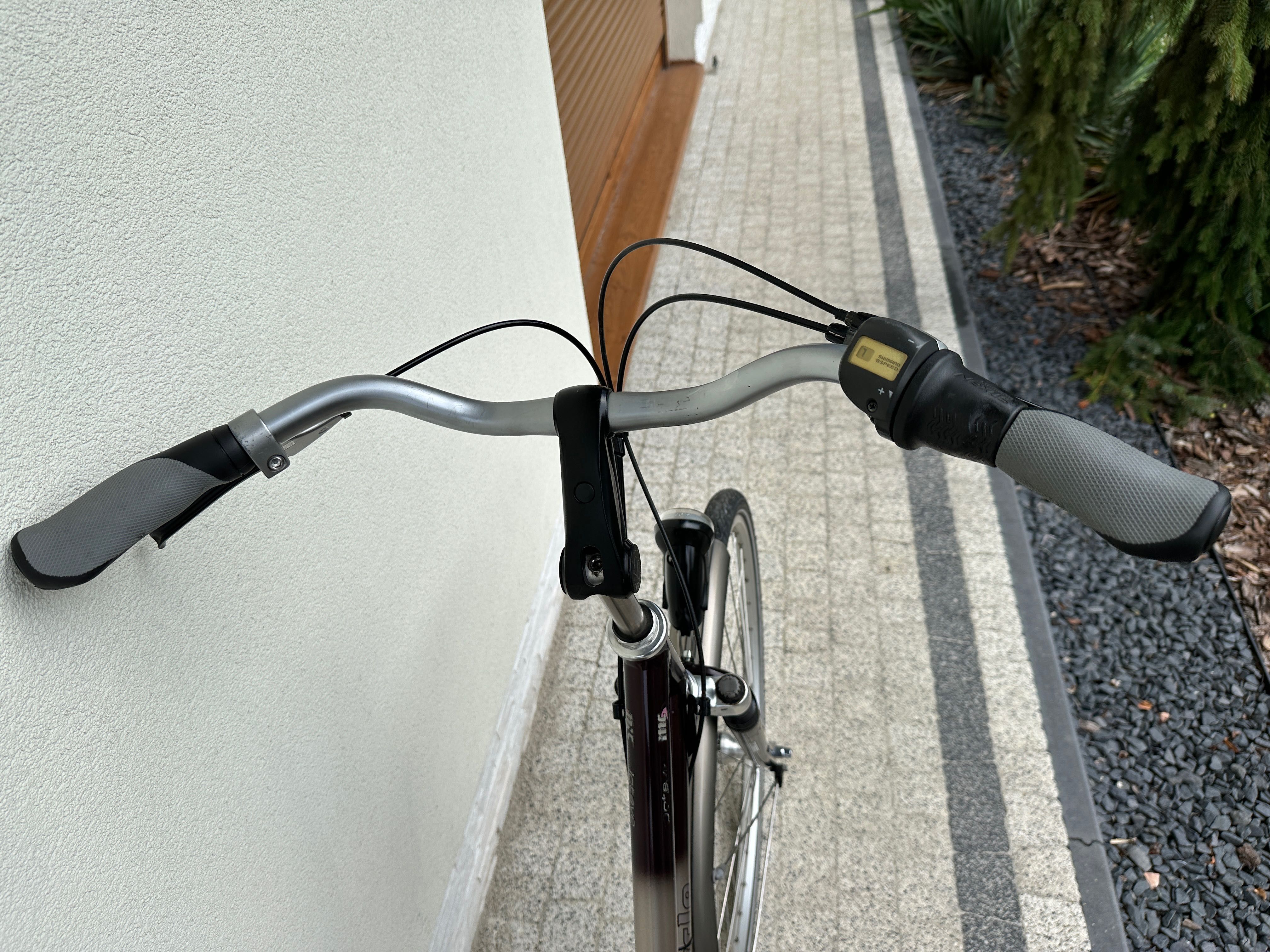 Rower MULTICYCLE - koła 28, aluminiowy, Nexus 8 biegów, 2 x amor RST