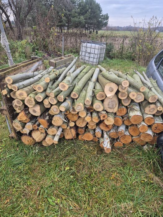 Drewno opałowe dąb i brzoza