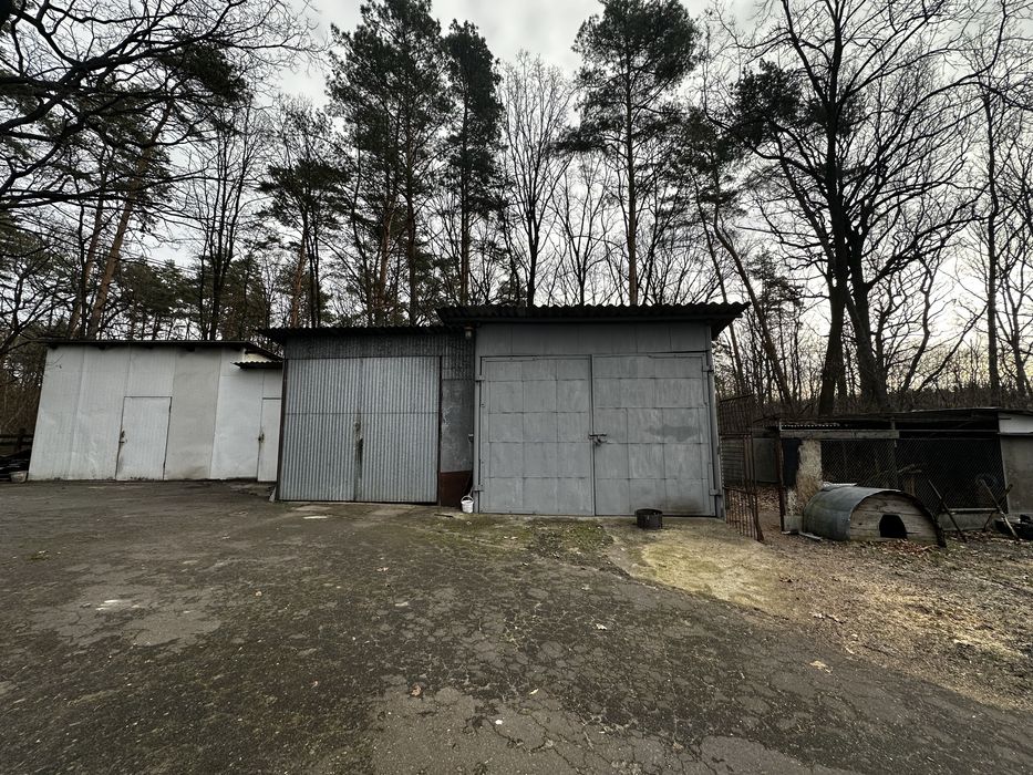 Приміщення. Пподаж. Підприємство. Рибопереробний цех. Бізнес.