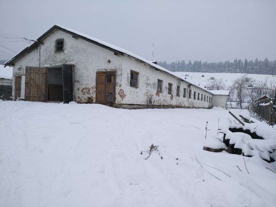 Пилорама діюча з приміщенням та системою відеонагляду інтернет