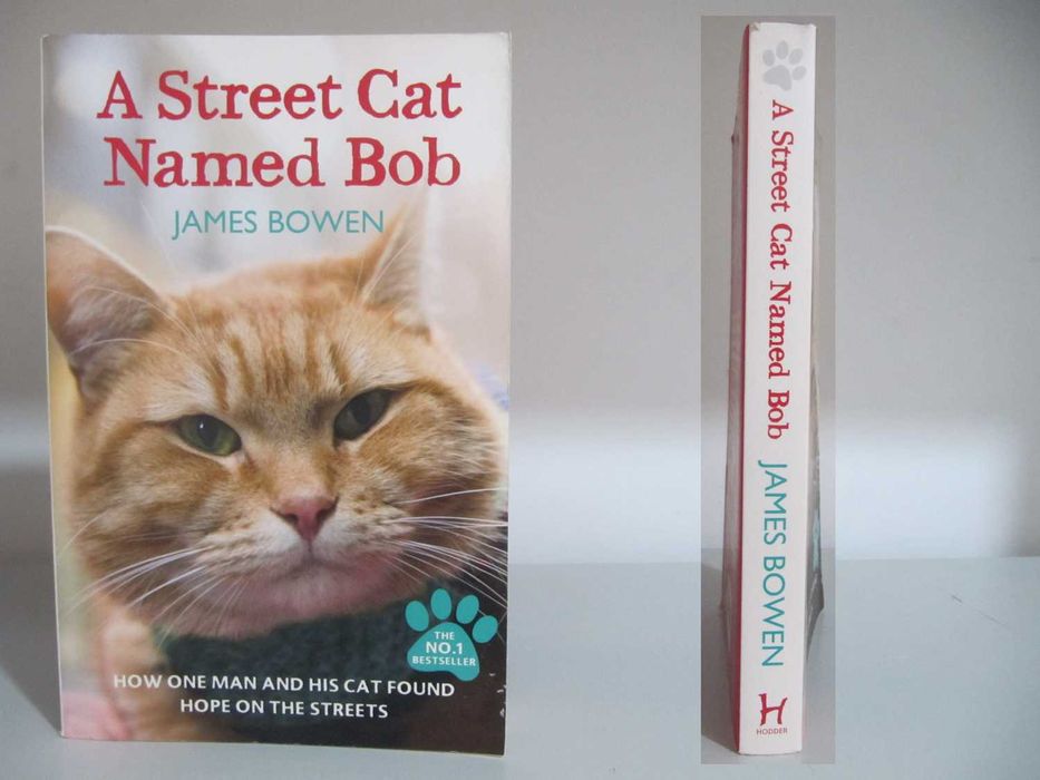 Vários Livros em Inglês