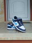 Sapatilhas homem Nike dunk low
