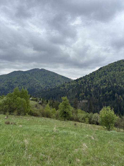Продаж землі в карпатах