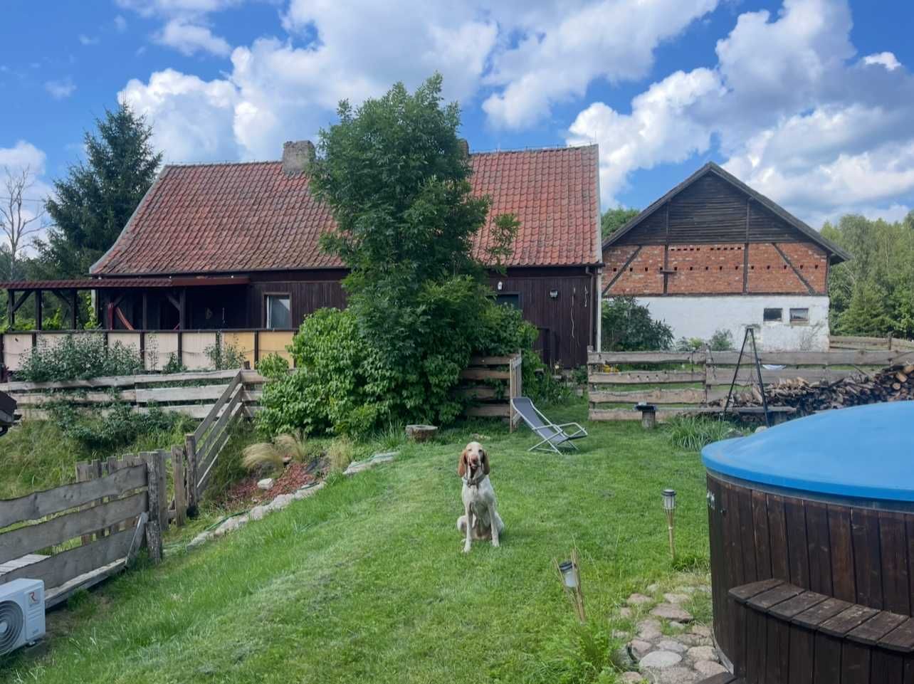 Domek całoroczny z sauną i jacuzzi. Warmia i Mazury. Okolice j. Dadaj