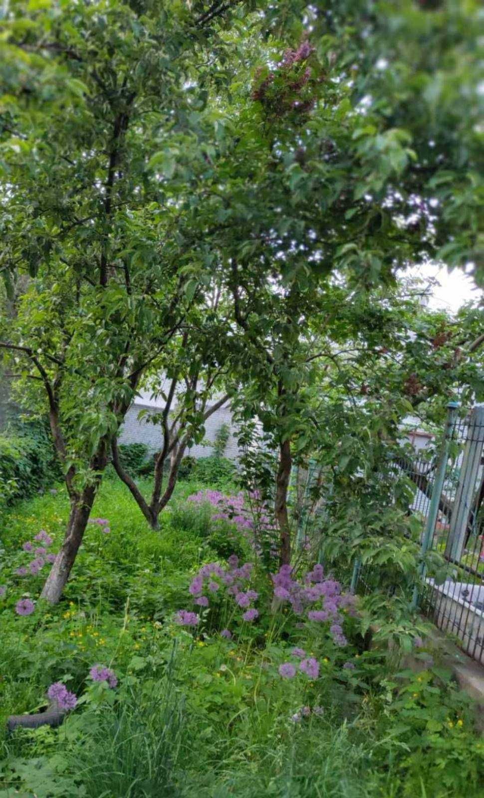 Продажа 1/2 ч. дома и земли  по ул.Нежинская ул. 29 (ст.м.Шулявка)