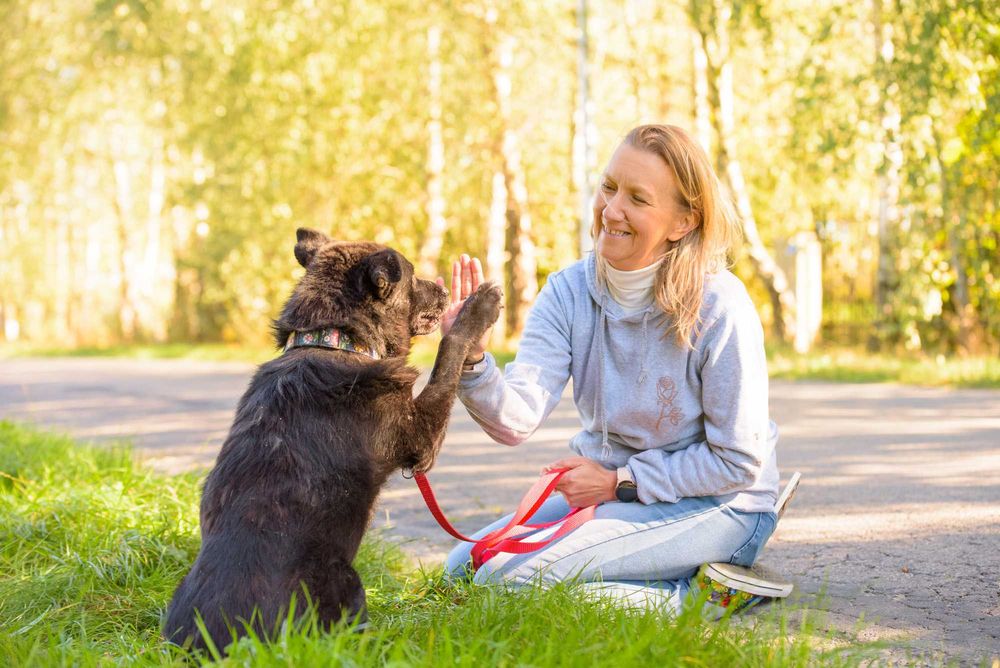 SPARTUS - patrzy tylko jednym oczkiem ale pokocha całym sercem