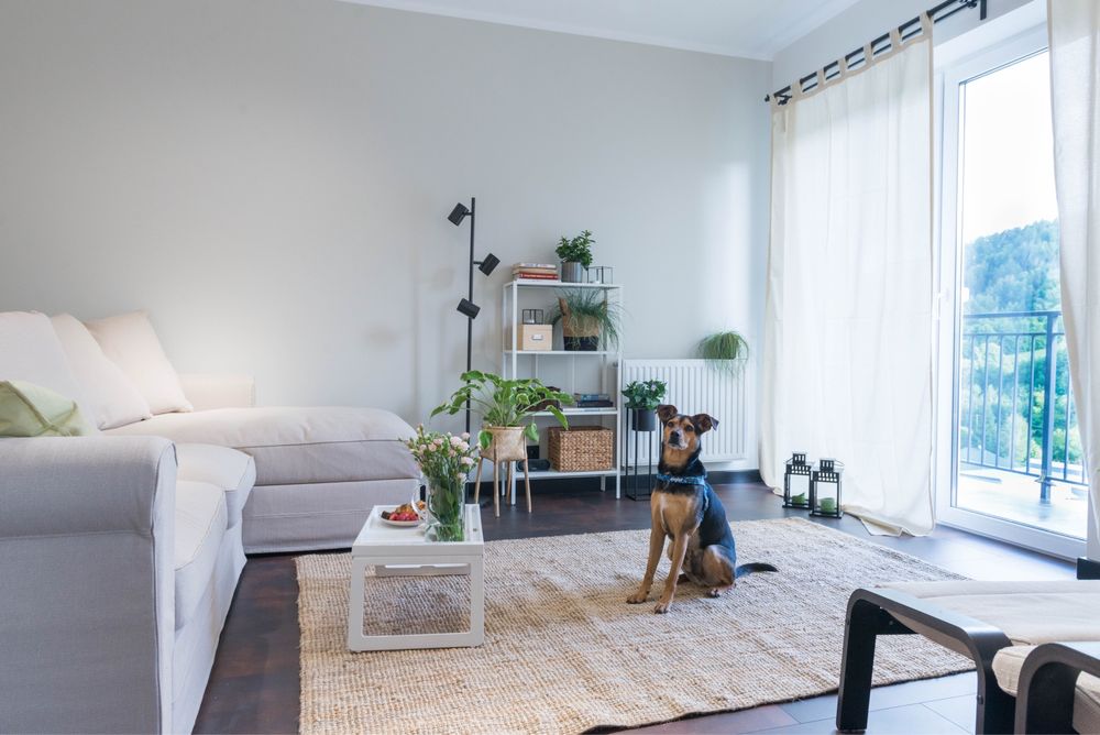 Apartament z widokiem na góry i las – 65 m² + poddasze i wyposażenie!
