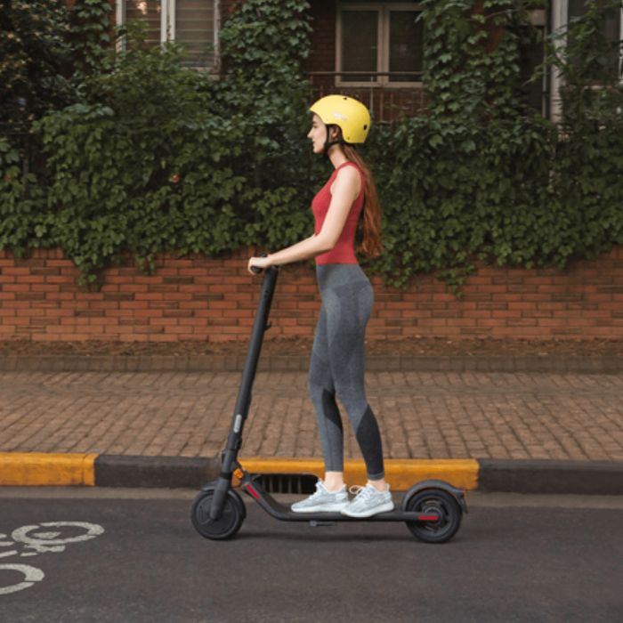 Електросамокат Xiaomi Ninebot E25E Kickscooter Black by Segway