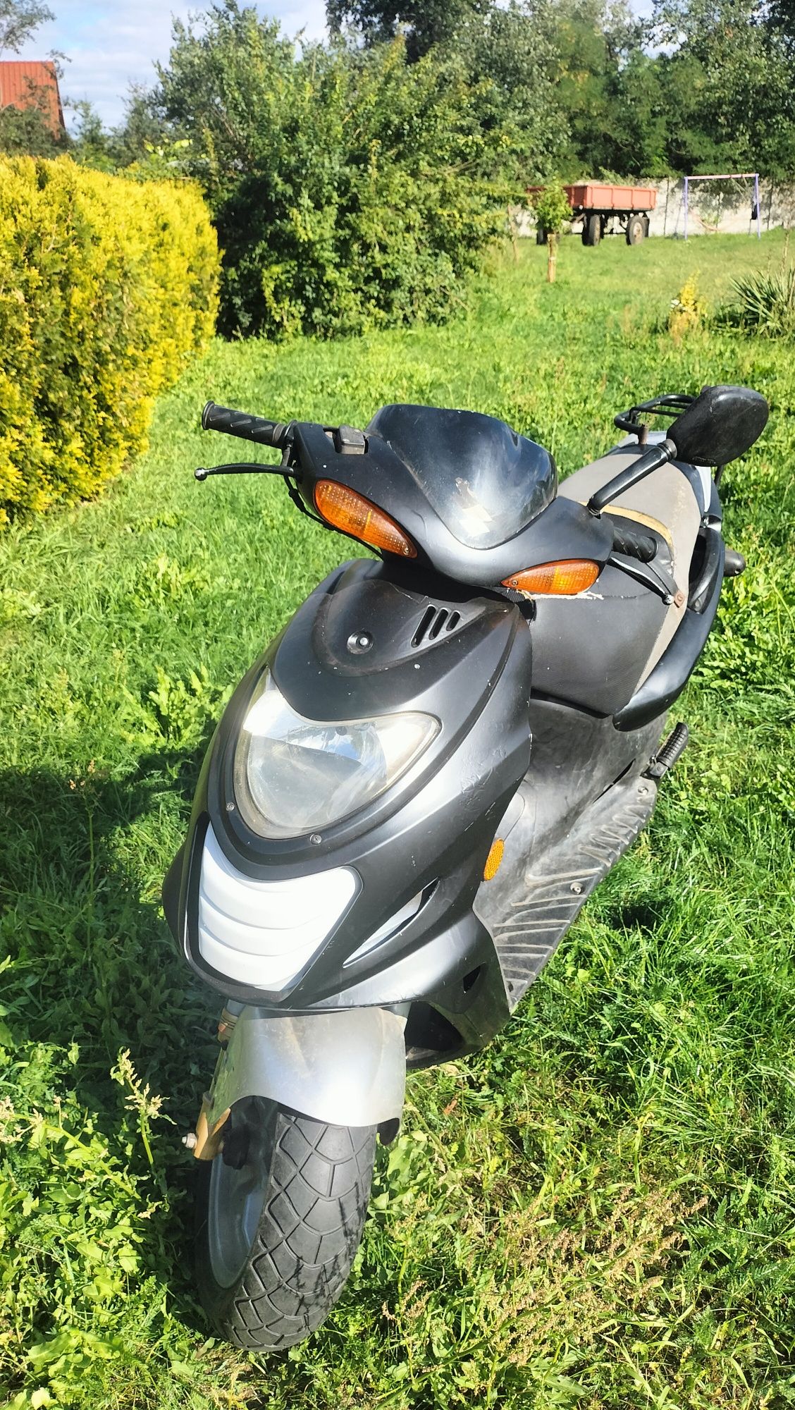Suzuki katana 50