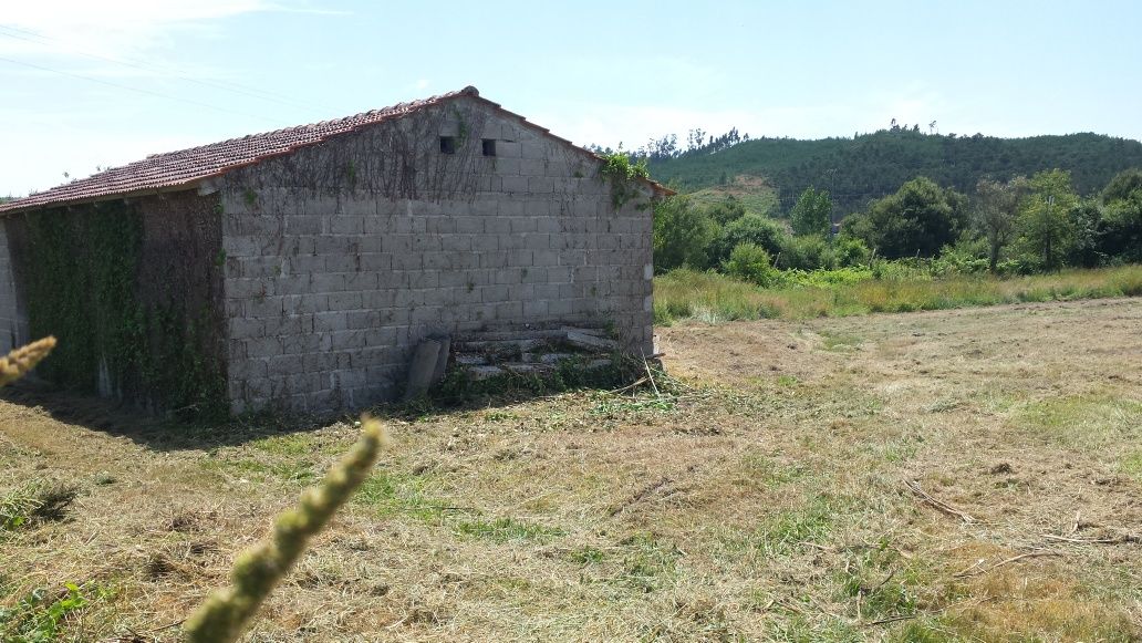 Vende-se terreno agrícola