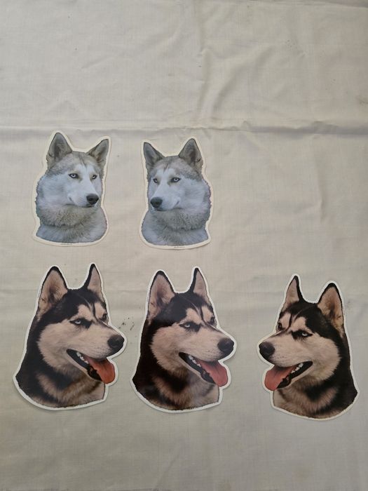 Autocolante de Caes (Cocker Golden Husky Alasca Boxer)