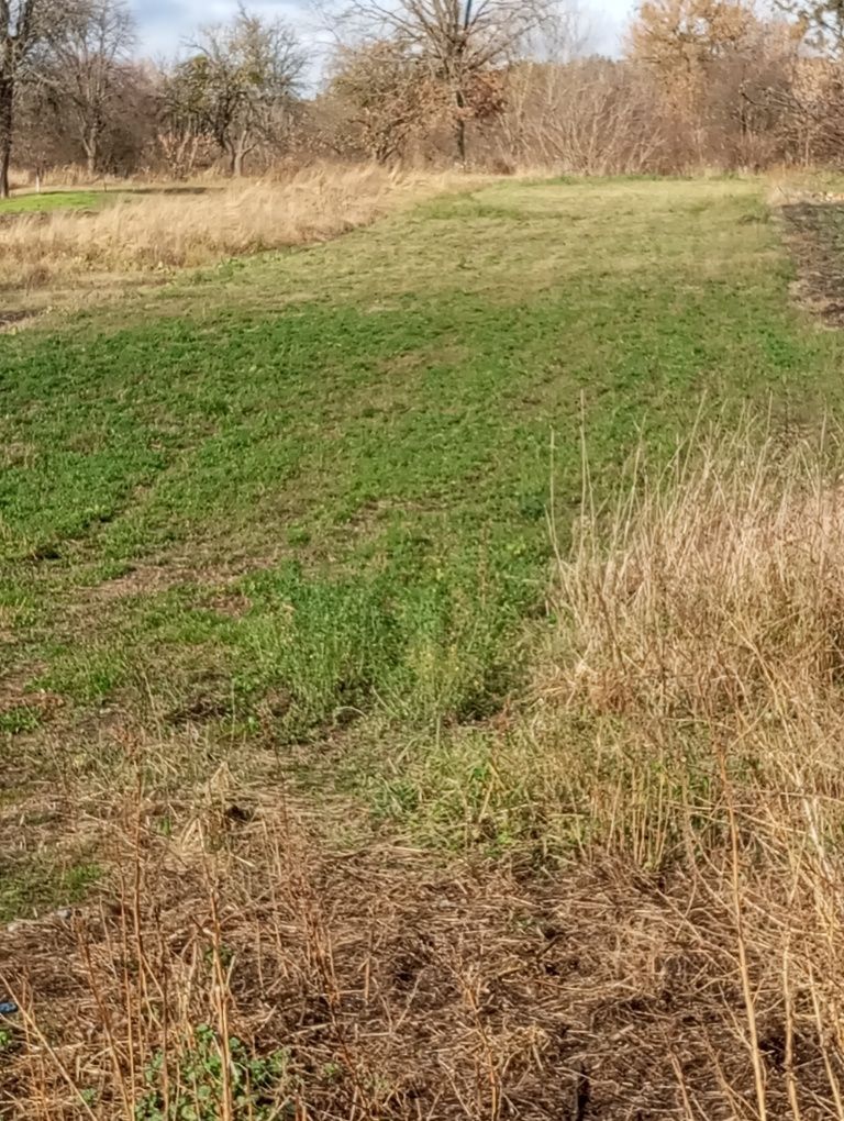 Срочно продам земельну ділянку