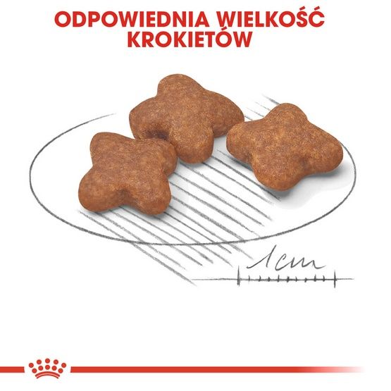 Karma opracowana dla małych psów od 8 do 12 roku życia Royal Canin 2kg