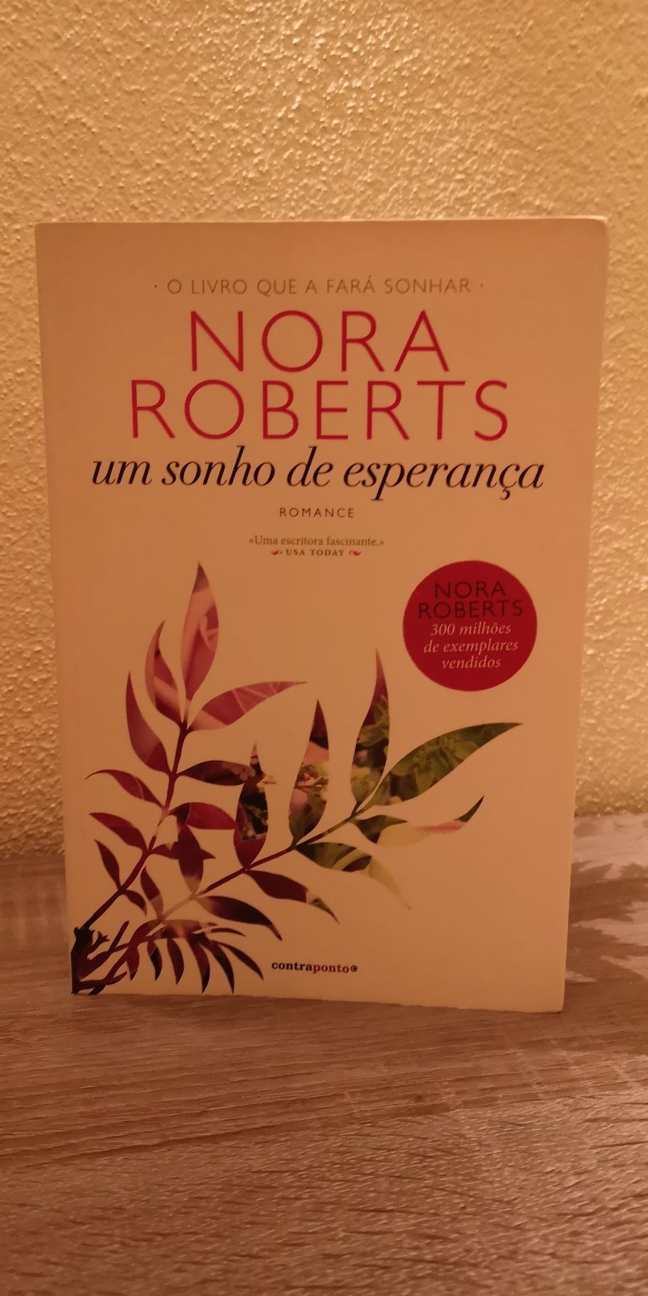 Livro Um Sonho de Esperança de Nora Roberts