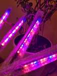 Lampa stojąca GROW do upraw roślin