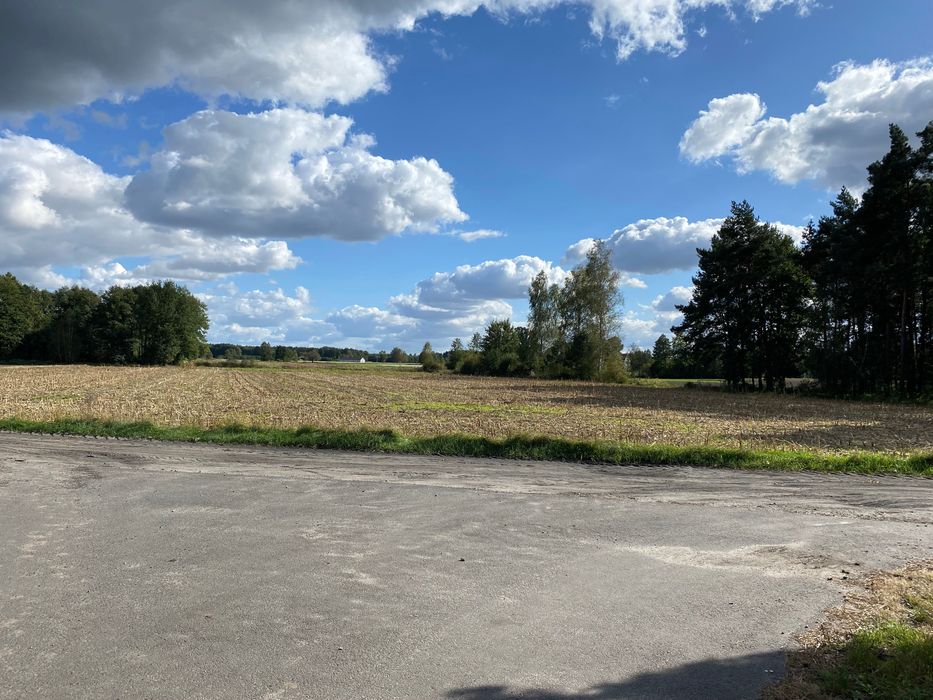 Sprzedam grunt rolny / ziemia rolna 3,4158 ha Danowiec, powiat kaliski