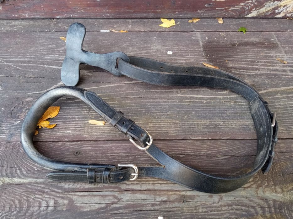 Podogonie z motylkiem