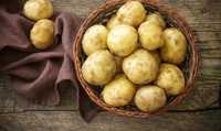 Ziemniaki ekologiczne irga białe lub żółte kartofle