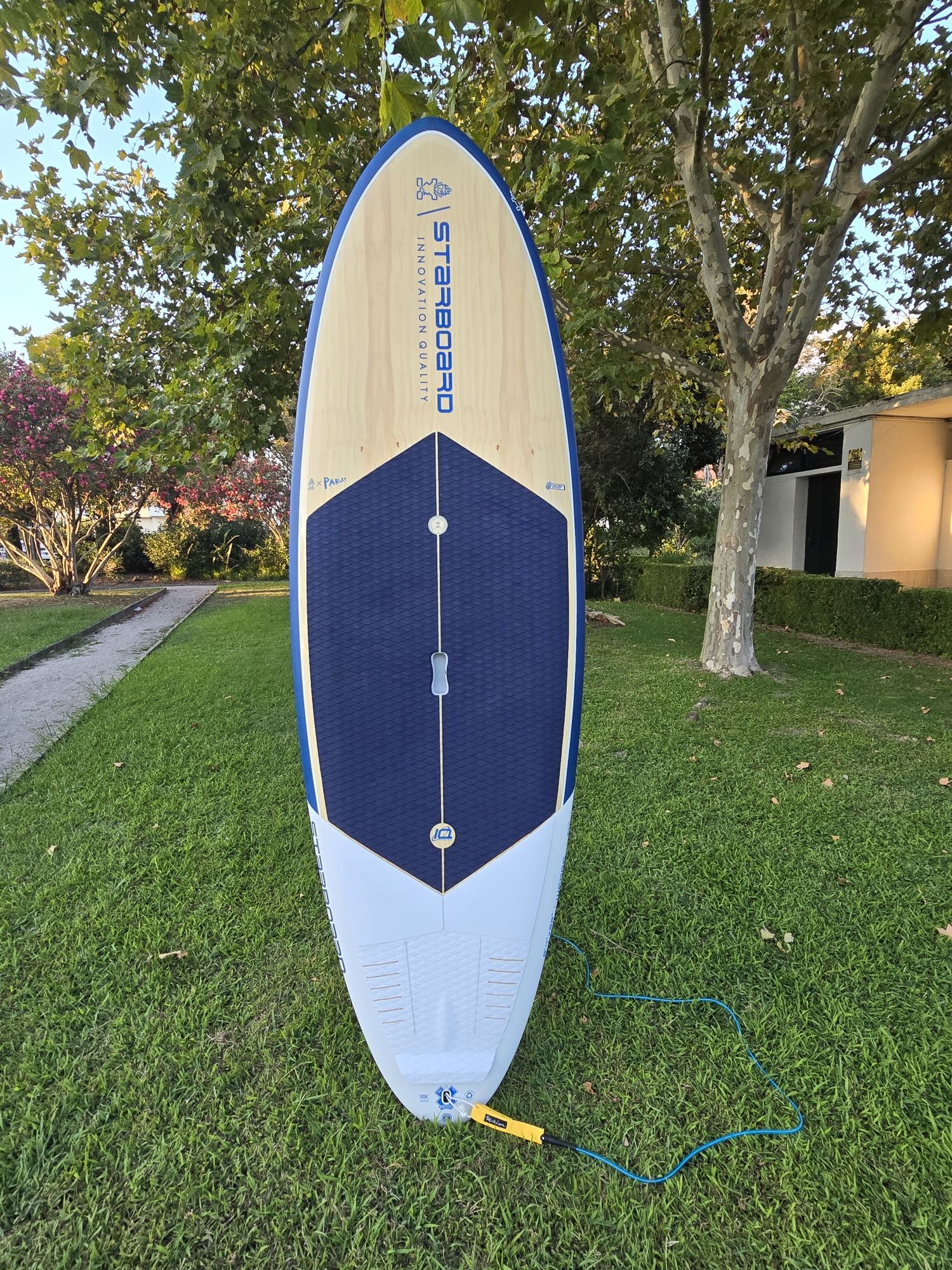 Starboard Wedge de 2024 8'7" x 32"