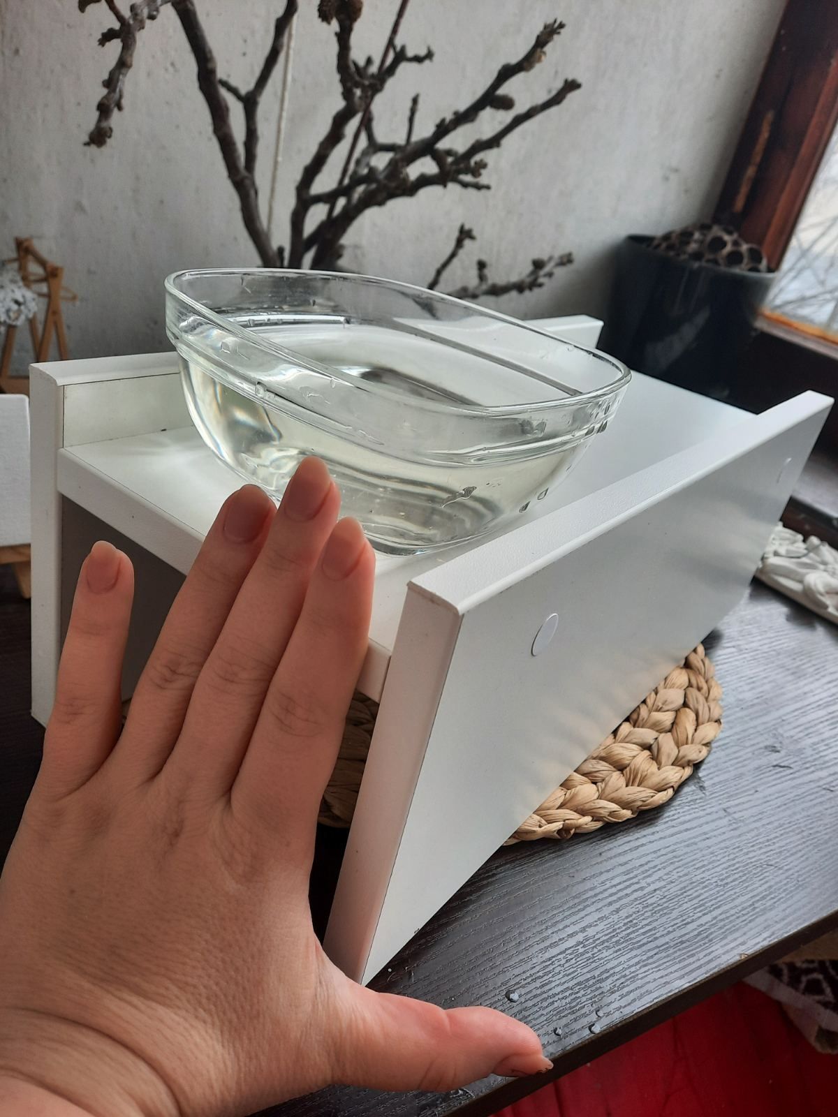 Підставка для цуценя, коргі, такси, спаніель, бультерьера під миски по