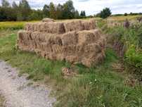 Trawa na brykiet