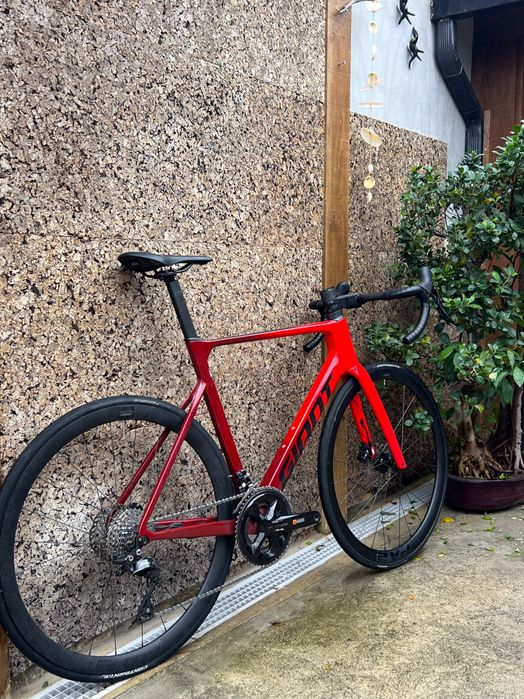 Giant Propel tam M (2024)