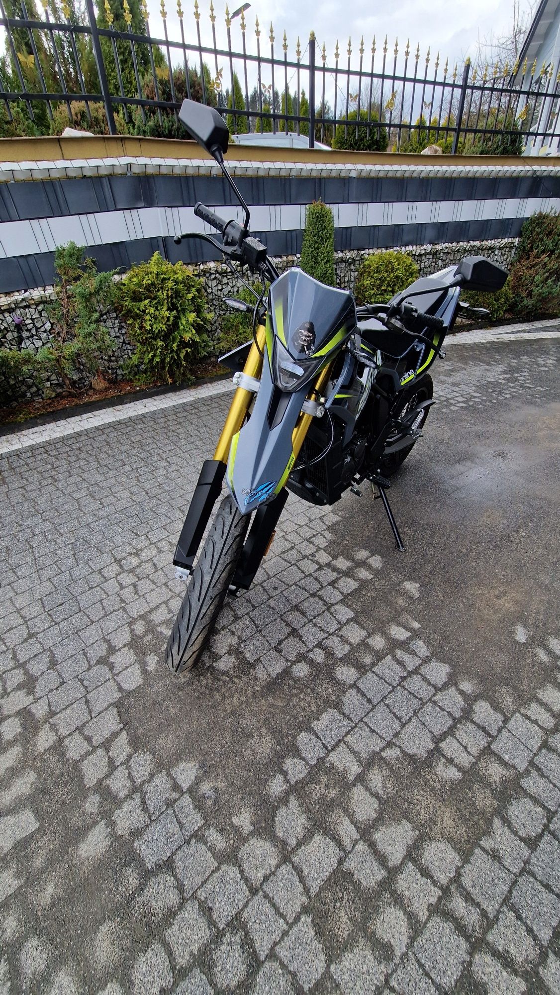 Motor Cros ONLINE Bestia SM 125