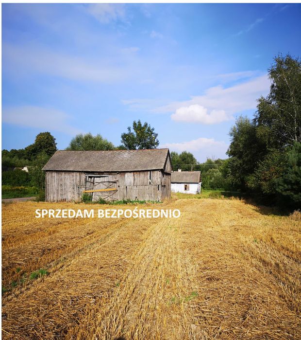 Sprzedam piękną działkę bezpośrednio _ Wola Żulińska