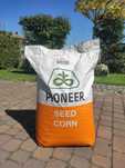 Kukurydza Pioneer P9944