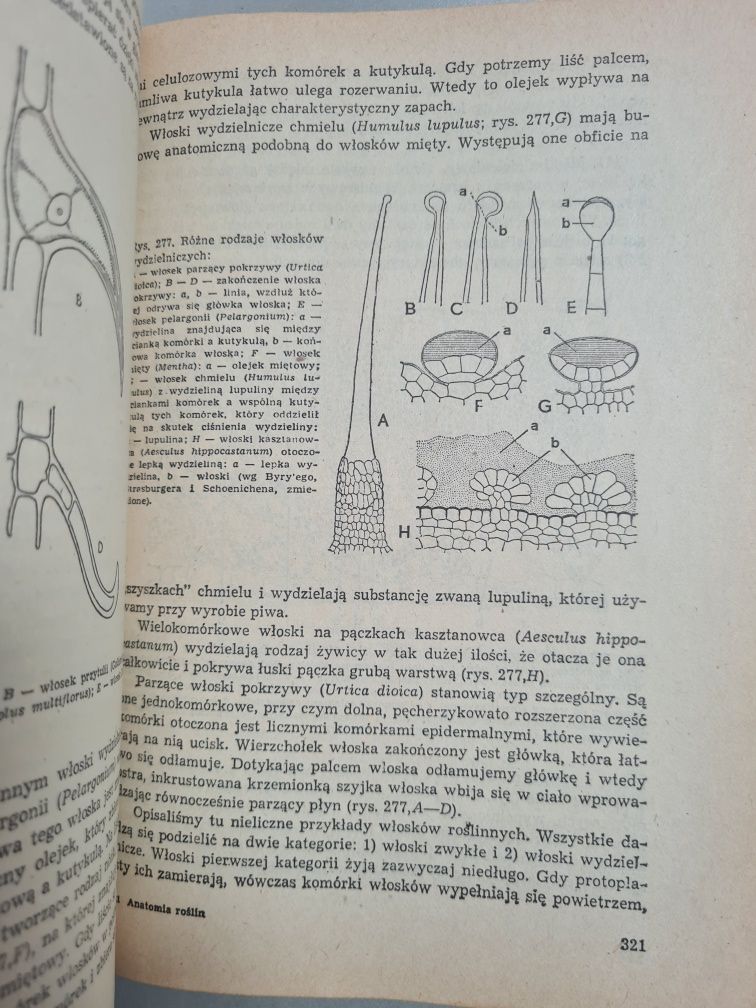 Anatomia roślin - Edmund Malinowski