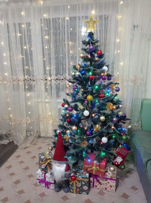 Продається пухнаста ялинка. Висотою 170 см