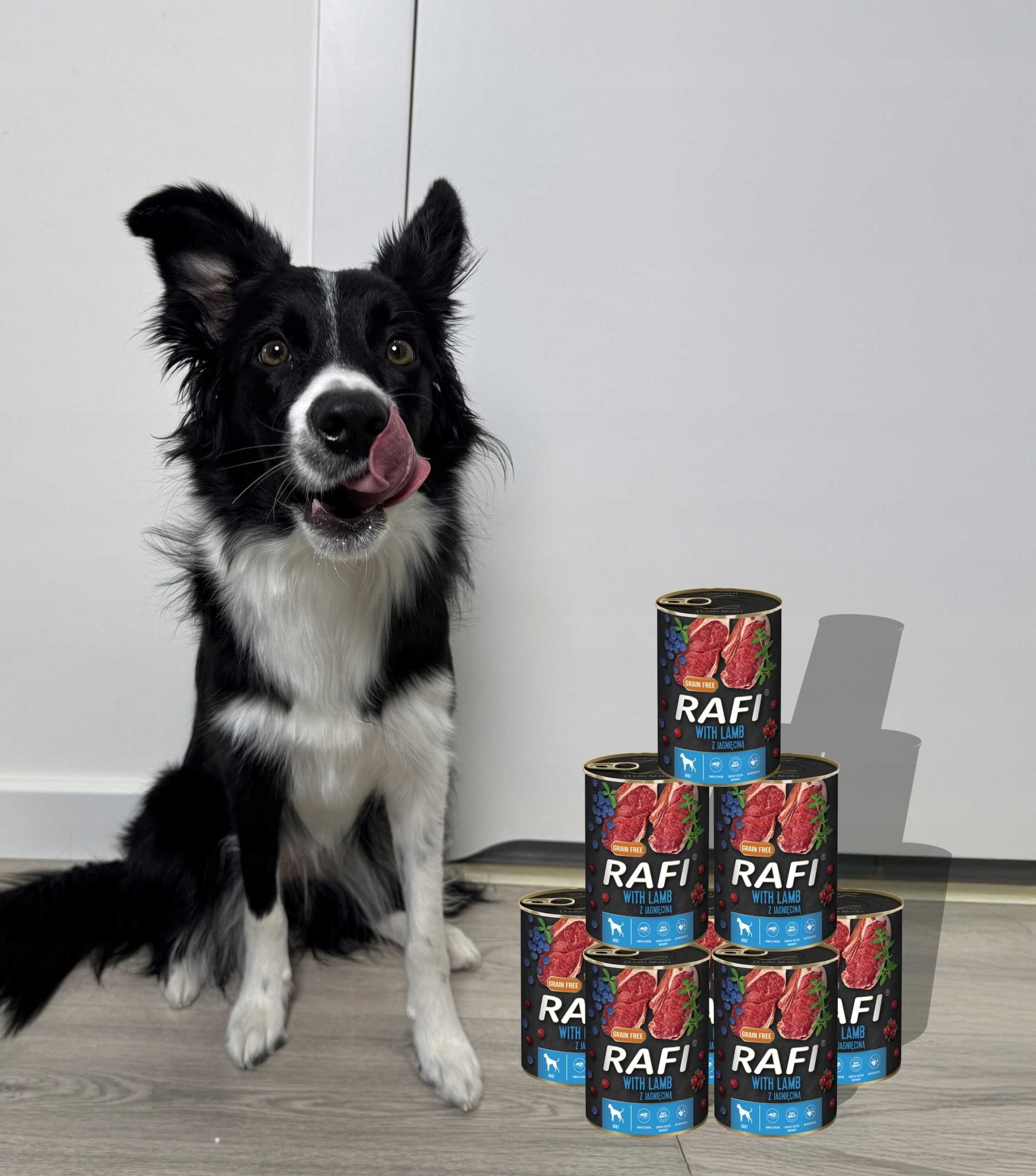 Karma Mokra Dla Psów RAFI z Jagnięciną, Borówką Żurawiną 400g - 24szt