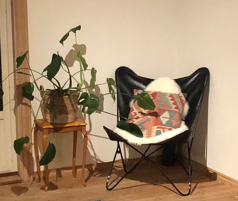 Selling a butterfly chair