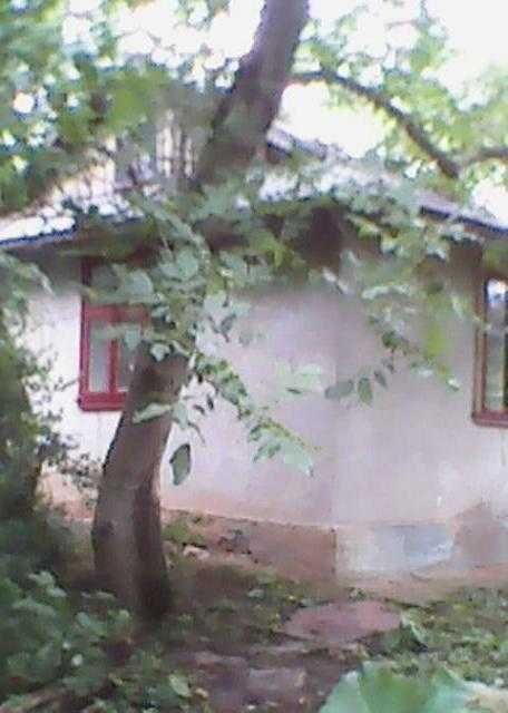 Продам будинок в селі Ів-Франк. області (в Дністровському каньйоні)