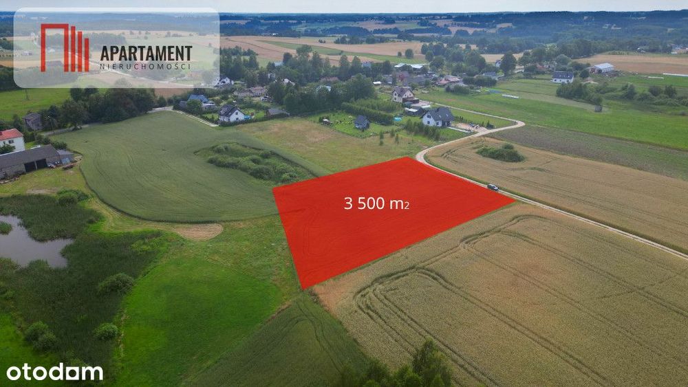 Działka 3500 m² w Skrzydłowie, z warunkami zabudow
